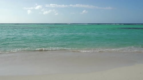 Amazing Ocean Shore