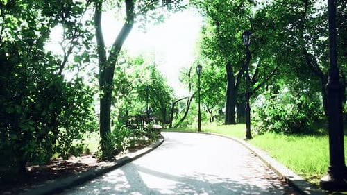 Walking Through a Green Sunny Park Pathway 3D Animation