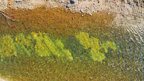 Top View on Water in River