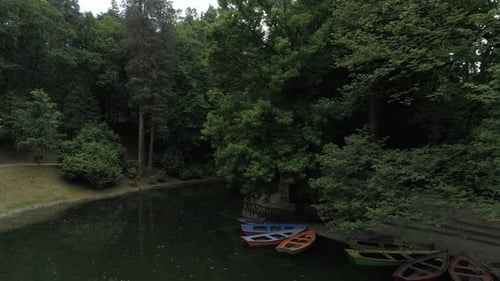 Wald-Fluss