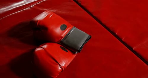 Red Boxing Gloves on Red Padded Mat