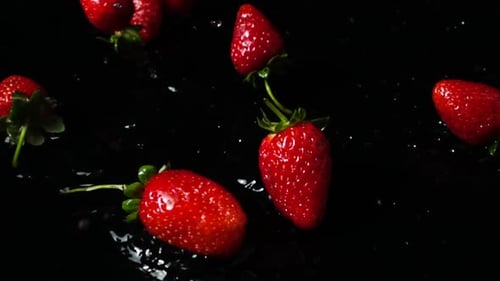 Strawberries Splashing in Water Against Black Background