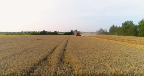 Agriculture - Combine Harvester Harvesting Wheat
