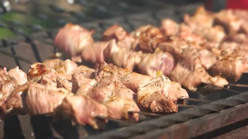 Meat Is Fried on Skewers on the Grill