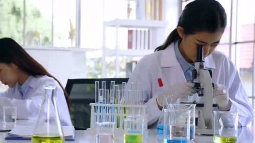 Scientists Working in a Medical Research Laboratory