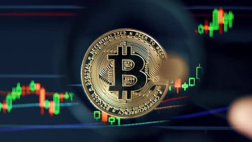 Bitcoin Stock Growth