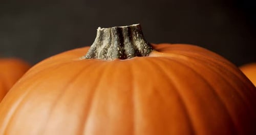 Beautiful Orange Pumpkin on a Dark Background