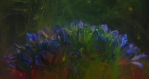 Flower with Ink Flowing in Dark Environment