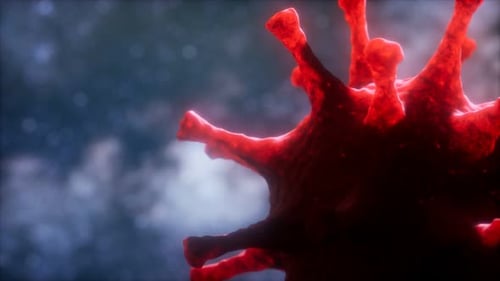 Virtual Representation Macro Model of Novel Coronavirus COVID-2019