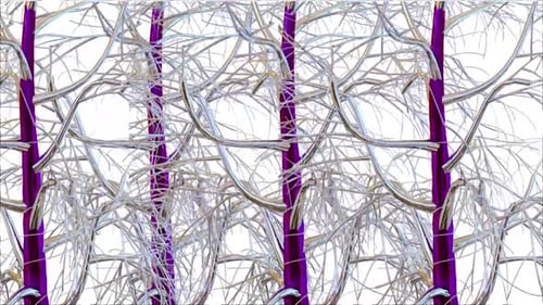 Botanisches 3D-Rendering von Birken