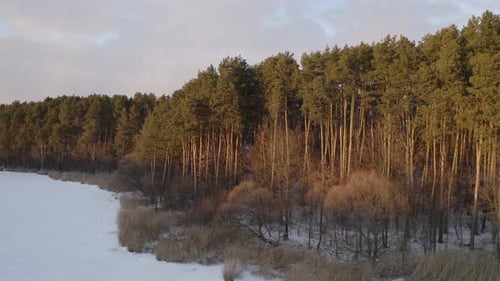 Snow Covered Shore Near Forest