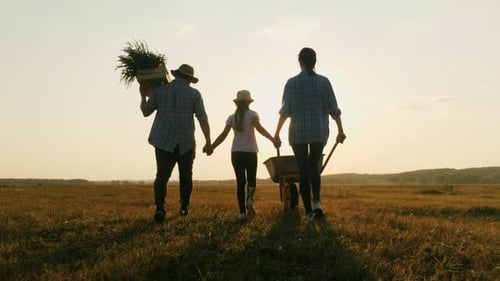 Family Walks Toward Sunset in Rural Field