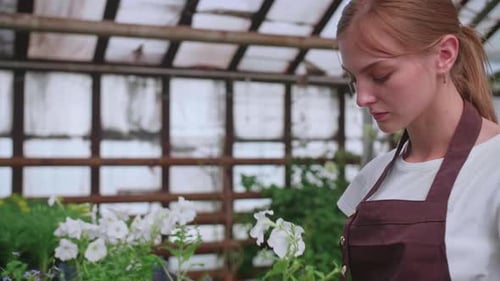 Young Woman Tends Plants in a Greenhouse