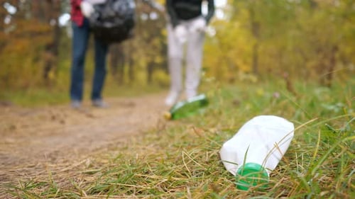 Volunteers Collecting Trash from Forest Floor