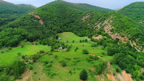 Casa del bosque