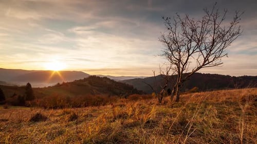 Time Lapse of Sun Setting Behind the Mountain and Pine Trees on a Background