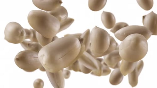 Flying of Roasted Peanuts in White Background with Alpha Channel