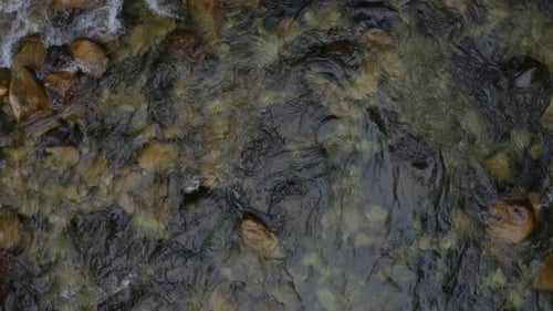 Top down view background of a cold, blue colored water current