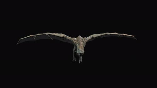 Realistic 3D Fantasy Dragon Flying with Alpha Channel