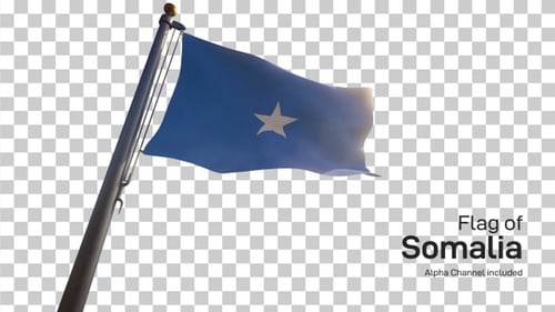 Waving Blue Flag with White Star on Pole with Alpha Channel