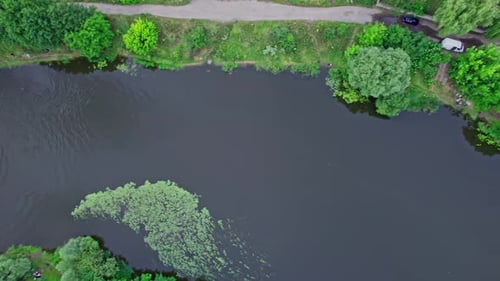 Aerial View of Green Forest and River