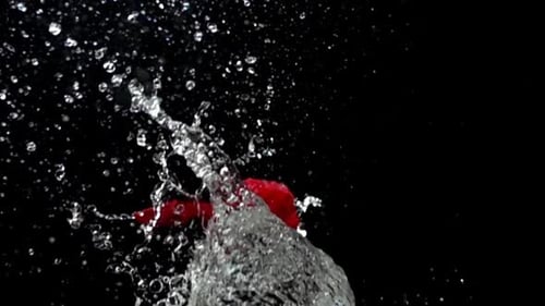 Water Balloon Bursting on Black Background