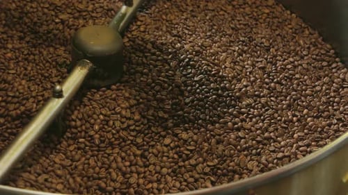 Coffee Beans Roasting in a Large Industrial Machine