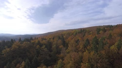 Mountain Forest In Autumn