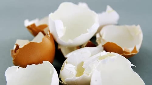 Gebrochenes braunes Ei auf grau