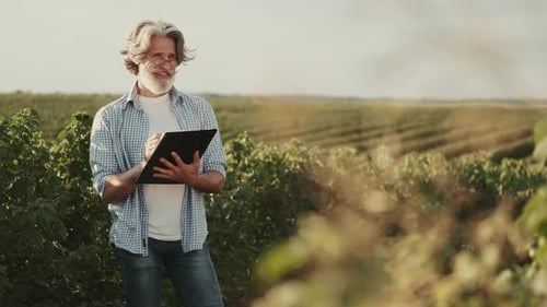 Mature Confident an with Notebook Going Through a Field of Sunflowers