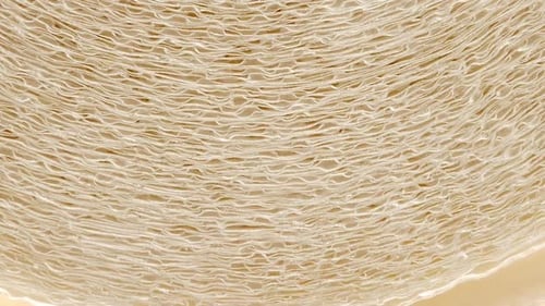 Close Up of Beige Paper Roll Texture