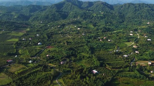 Green Village In Summer Aerial
