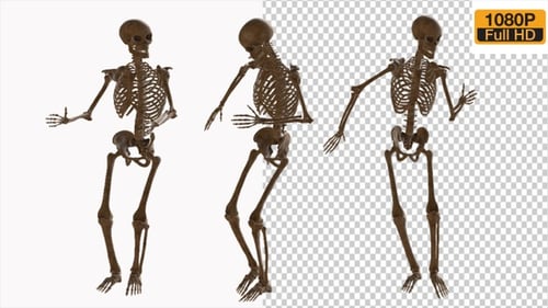 Animated 3D Skeleton Performing Seamless Dance Loop