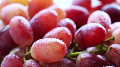 red grape