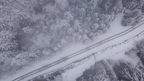 Flight Over Road and Winter Forest