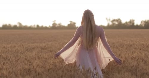 A young girl in wedding dress walking in a wheat field at incredible colorful sunset
