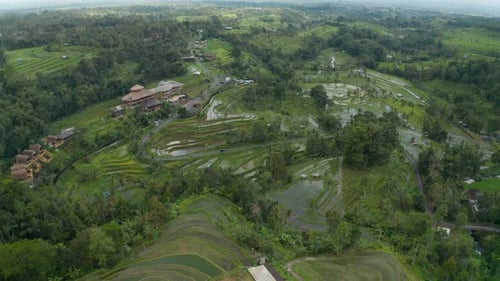 Wide Aerial View of the Water on a Rice Plantations in Rural Bali Countryside
