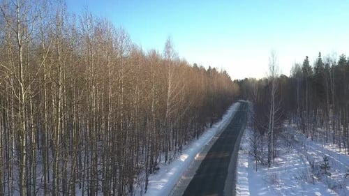 Camera Rises Above Long Track in Wood Against Sky in Winter