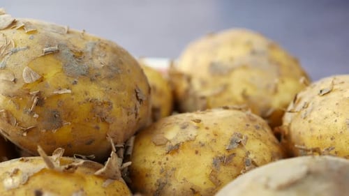 Close Up of Slice of Raw Potato in a Bowl
