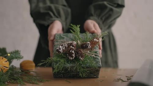 A Christmas Present Moves a Woman's Hands Into the Camera