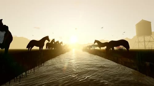 Wild Horses Drinking Water by the Creek