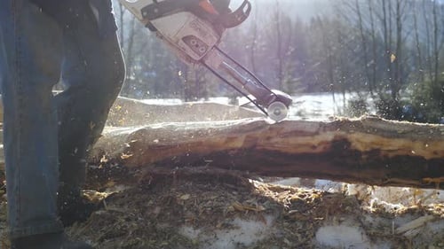 Unrecognizable Man Grinding Log with Electric Saw in Sunny Winter Forest. Carpenter Processes a
