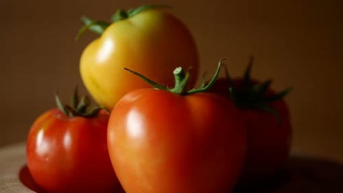 Fresh Tomatoes, Red and Yellow, Close Up