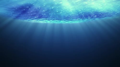 Belle vue sur la scène sous-marine et les ondulations.