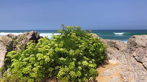Schöne Aussicht auf das Meer von der Küste