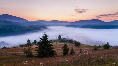 Misty Valley at Sunrise in Rolling Hills