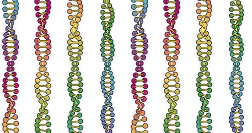 Color Visualization of DNA Analysis Isolated on White Background 3d Rotation Animation for Montage