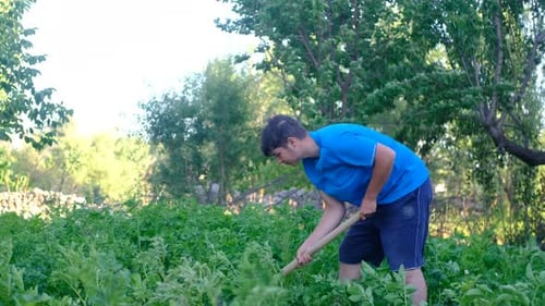 Young Adult Digging in Agricultural Field