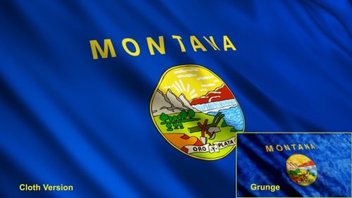 Waving Montana State Flag Animation with Clean and Textured Styles