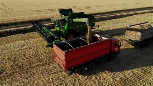 Combine Harvester Wheat